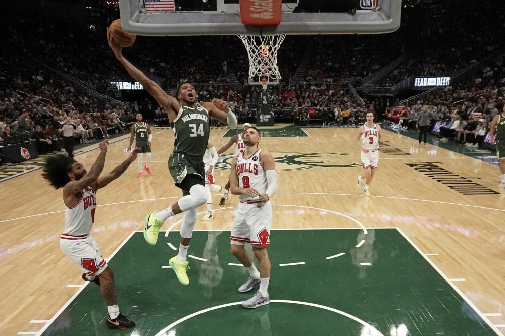 球队需要即 球队需要即